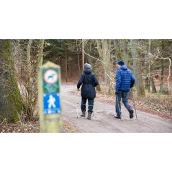 Vandrestave med teleskop